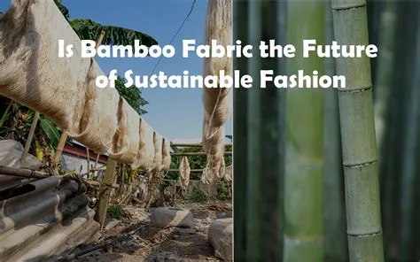 B Bamboo: Uma Fibra Natural e Sustentável para o Futuro da Moda!