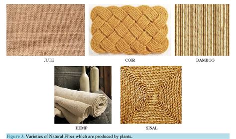  Jute: Uma Fibra Natural para Reforço e Compósitos Resistentes!